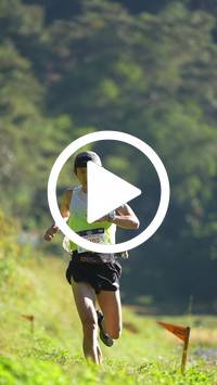 BIB:  <button type="button" onclick="openModal(26571719)" class="btn btn-primary btn-sm float-right" data-toggle="modal" data-target=".modal-high-quality">
                <i class="fa fa-download"></i> Download
                </button>